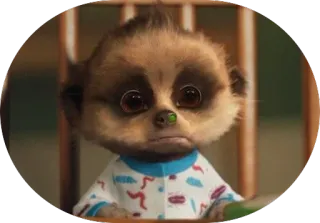 😐 suricata, mono, animal, mamífero telegram sticker