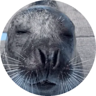 Больше стиков тут: @stikery4 telegram stickers