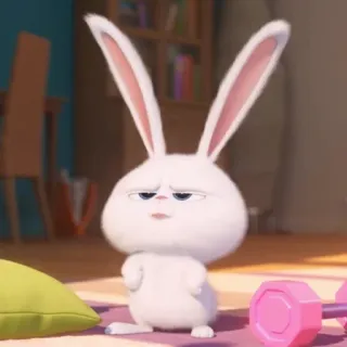 🐰 Snowball The Secret Life of Pets rabbit, bunny, cute, pet, animal telegram sticker
