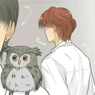 🎧 owl, person, anime, cartoon, cute, character, illustration telegram sticker