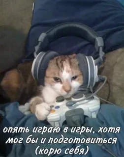 🎮 опять играю в игры, хотя мог бы и подготовиться (корю себя) แมว, เกมมิ่ง, หูฟัง, จอย, สัตว์เลี้ยง, มีม, ตลก telegram sticker