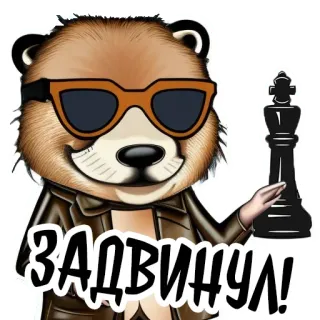 🔥 ЗАДВИНУЛ! animal, bear, sunglasses, chess, chess king, text, russian telegram sticker