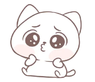 😽 gato, fofo, kawaii, animal, adesivo, desenho animado whatsapp sticker