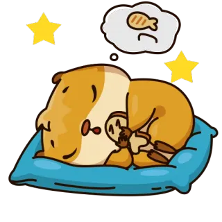 😴 Meerschweinchen, schlafend, süß, Cartoon, Tier, Traum, Kissen, Sterne telegram sticker