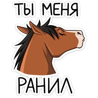 ⭐ ТЫ МЕНЯ РАНИЛ koń, zwierzę, naklejka, kreskówka telegram sticker
