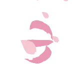 🌸