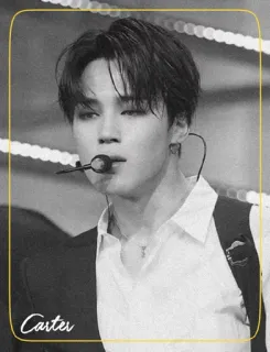 ◾️ Carter kpop, jimin, bts, cantor, retrato, monocromático whatsapp sticker