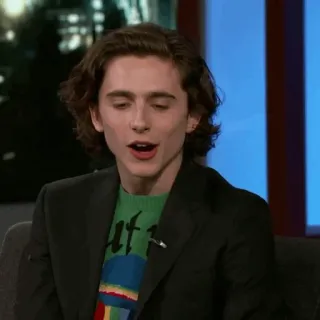 🥀 Timothée Chalamet diễn viên, người nổi tiếng, đàn ông, chân dung telegram sticker