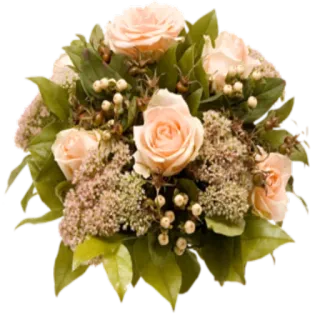 🌺 flowers, roses, bouquet, floral arrangement, peach roses, leaves, nature, gift telegram sticker