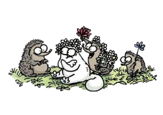 👰 hedgehog, cat, cartoon, flowers, cute whatsapp sticker