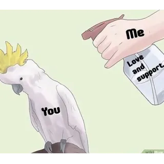 ❤️ Me
Love
and
support
You Meme, Perroquet, Amour, Soutien, Relation, Humour telegram sticker
