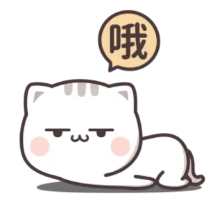 Cutie Cat-Chan 1 @waesticker whatsapp stickers