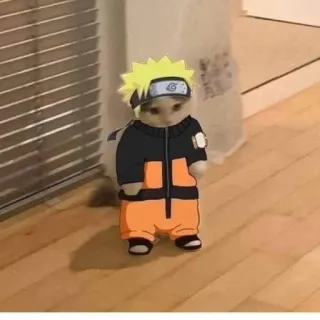 🔰 Naruto chat, Naruto, anime, dessin animé, drôle, cosplay, animal de compagnie telegram sticker