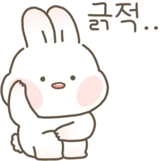 💬 긁적... coniglio, carino, illustrazione, coreano, grattare, grattandosi, animale telegram sticker