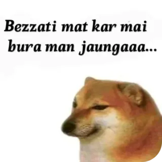 🐱 Doge Doge meme Bezzati mat kar mai bura man jaungaaa... telegram sticker