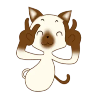 ✌️ gatto, animale, cartone animato, simbolo della pace, siamese whatsapp sticker