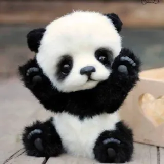 🐼 panda, mignon, animal, peluche, peluche, jouet, ours, kawaii whatsapp sticker