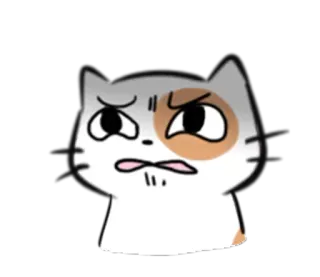 🙄 chat, sticker, mignon, drôle, animal, dessin animé, expression, confus telegram sticker