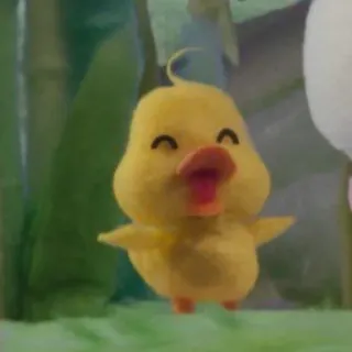 🦆 pato, pintinho, animal, fofo, desenho animado, amarelo whatsapp sticker