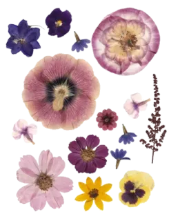 cute vibe 🧺🍃🍄😎 telegram stickers