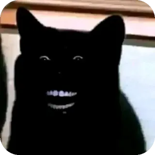🐱 cat, black cat, scary, creepy, meme, animal, pet, funny telegram sticker