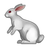 🐇