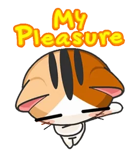 🙇‍♂️ MY PLEASURE mèo, dễ thương, kawaii, niềm vui telegram sticker