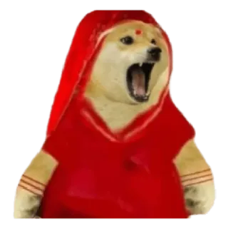 😖 doge, meme, perro, indio, rojo, sari telegram sticker