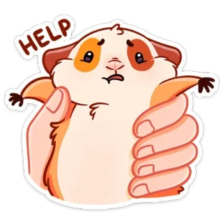 😬 HELP หนูตะเภา, ช่วยเหลือ, สัตว์, การ์ตูน, น่ารัก, ความทุกข์ telegram sticker