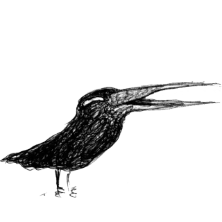 😖 pássaro, animal, desenho, vida selvagem telegram sticker