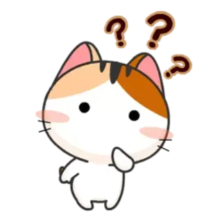 🤔 gatto, domanda, pensando, animale, curioso, carino telegram sticker