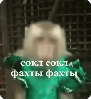 🌟 сокл сокл
фахты фахты khỉ, chữ, tiếng Nga, meme telegram sticker
