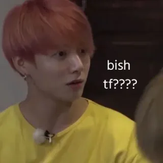🍃 bish tf???? Meme, Reação, Kpop, Engraçado telegram sticker