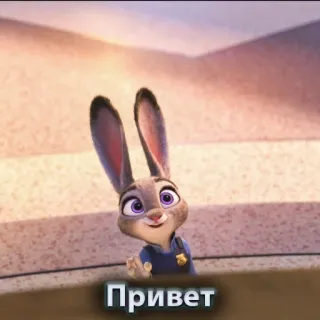 👋 Judy Hopps Zootopia Привет Judy Hopps, Zootopia, rabbit, Привет, cartoon whatsapp sticker