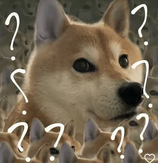 ❓ doge, dog, meme, question marks, shiba inu, dog meme telegram sticker