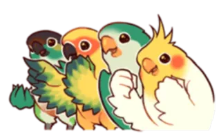 圓鳥 Coca telegram stickers