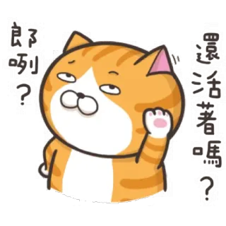 😧 還活著嗎? 猫, 動物, 漫画, 可愛い, オレンジ, 挨拶, 質問 telegram sticker