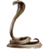🐍