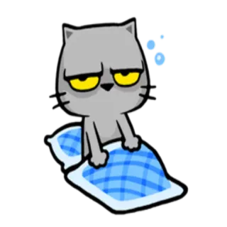 😴 cat, sleepy, tired, animal, cartoon, bed, pillow telegram sticker