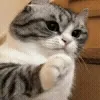 🥺