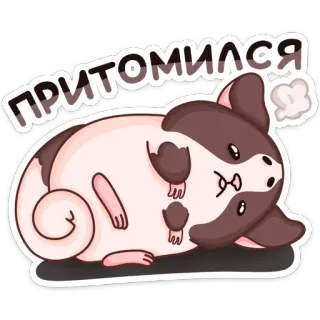😩 ПРИТОМИЛСЯ 기니피그, 귀여운, 졸린, 피곤한, 동물, 만화 telegram sticker