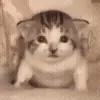 💣