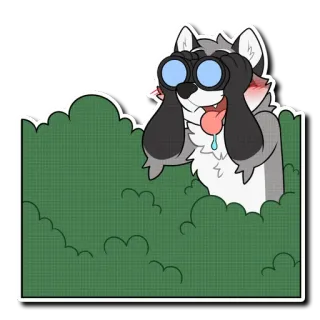 🤤 енот, бинокль, пушистый, животное, мультфильм, подглядывает whatsapp sticker