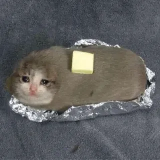 😭 kucing, kentang, mentega, sedih, hewan, meme telegram sticker