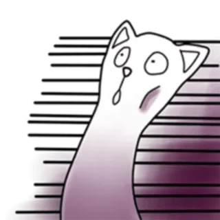 😱 cat, cartoon, sticker, animal, white, funny, illustration telegram sticker