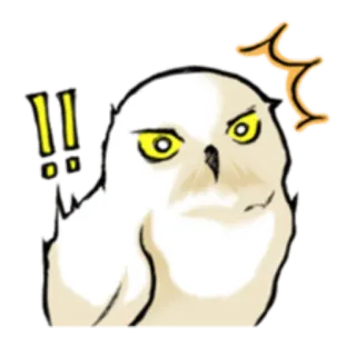 ❕ owl, angry, cartoon, animal, white, bird telegram sticker