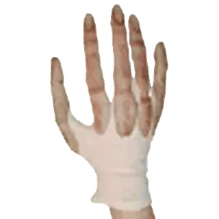 🤚