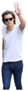✌ Harry Styles Harry Styles, sunglasses, celebrity, singer, fashion telegram sticker