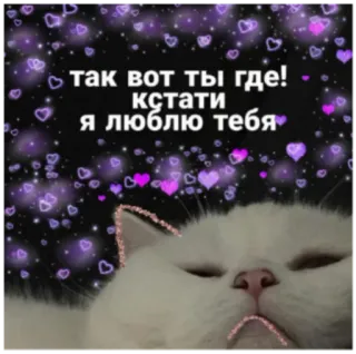 😍 так вот ты где! кстати я люблю тебя кот, любовь, сердечки, милый, русский, текст telegram sticker