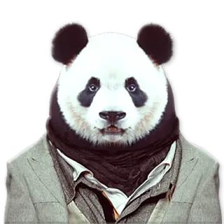 👍 Panda, Animal, Costume, Dessin animé, Ours, Anthropomorphe, Personnage telegram sticker